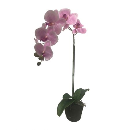 Orchidee 1 tak, 63cm roze