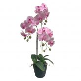 Orchidee 3 taks, 80cm roze