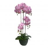 Orchidee 5 taks, 115cm roze