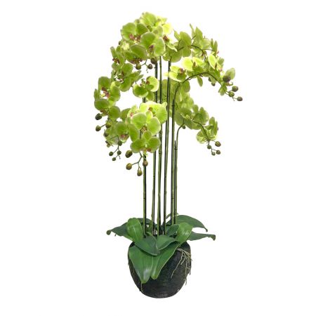 Orchidee 9 taks, 115cm groen
