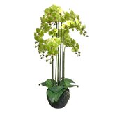 Orchidee 9 taks, 115cm groen