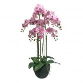 Orchidee 9 taks, 115cm roze