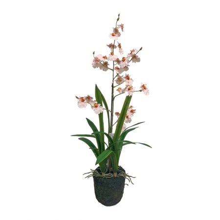 Orchidee in pot roze 75cm