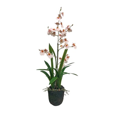 Orchidee in pot roze 75cm