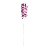 Orchidee losse tak, 100cm roze