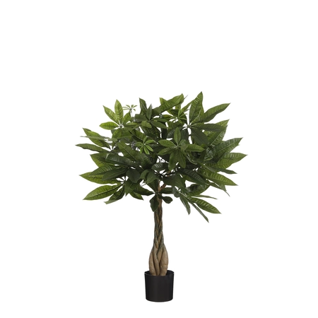 Pachira in pot groen - h60xd60cm