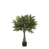 Pachira in pot groen - h60xd60cm