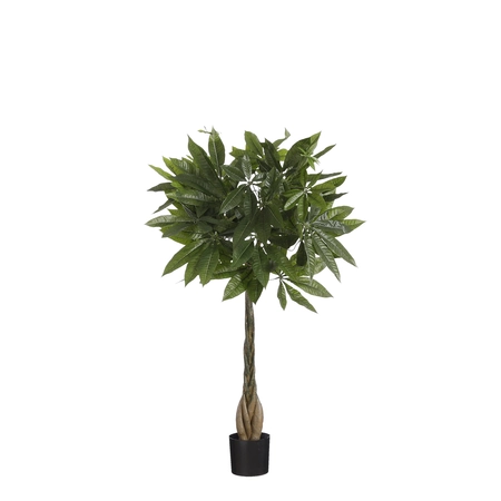 Pachira in pot groen - h80xd60cm