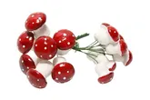 Paddestoelen rood 17 stuks