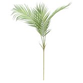 Palm tak 100cm