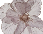 Papaver polyester d27h10cm a3 - afbeelding 4