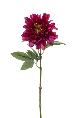 Peony Tak Zijde - 58cm Beauty