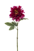 Peony Tak Zijde - 58cm Beauty