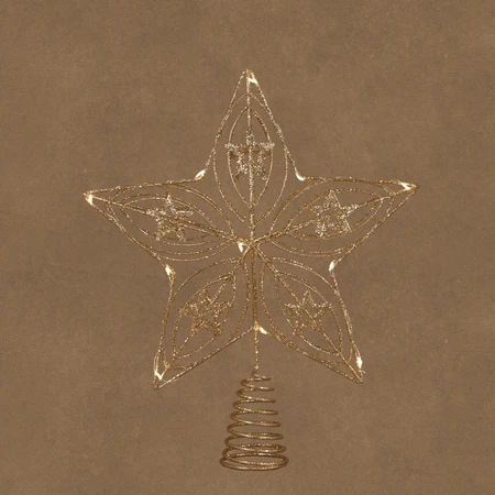 Piek ster champagne warm wit 12 led battery operated en timer - l25xb5,5xh30cm