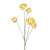 Pioen geel Leafless - l110cm