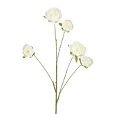 Pioen wit Leafless - l110cm