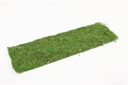 Plaat mos d58b18cm groen - afbeelding 2