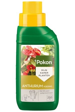 Pokon Anthurium Voeding 250ml - afbeelding 1