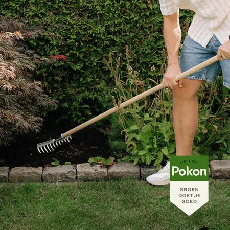 Pokon Bio Bemeste Tuincompost - 40L - afbeelding 4