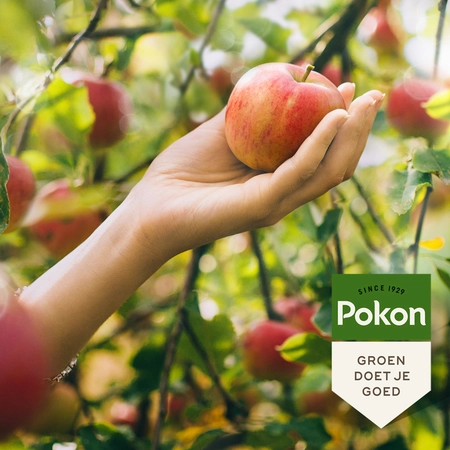 Pokon Bio Fruitbomen Mest - 1kg - afbeelding 4