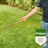 Pokon Bio Gazonmest - 8,4kg voor 125m² - afbeelding 3