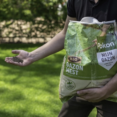 Pokon Bio Gazonmest - 8,4kg voor 125m² - afbeelding 4