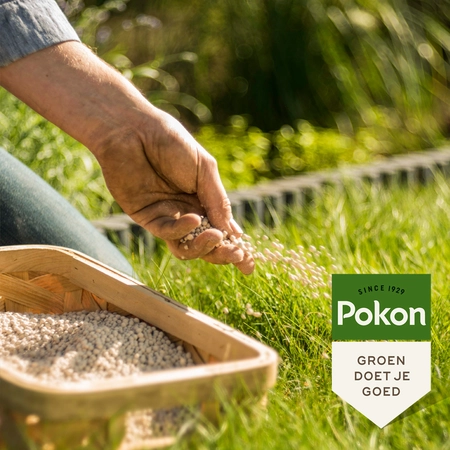 Pokon Bio Kalk 5kg voor 50mВ - afbeelding 4