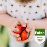 Pokon Bio Kleinfruit Mest - 1kg - afbeelding 4