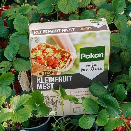 Pokon Bio Kleinfruit Mest - 1kg - afbeelding 5