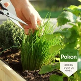 Pokon Bio Kruiden Mest - 1kg - afbeelding 4