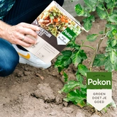 Pokon Bio Moestuin Mest - 1kg - afbeelding 5