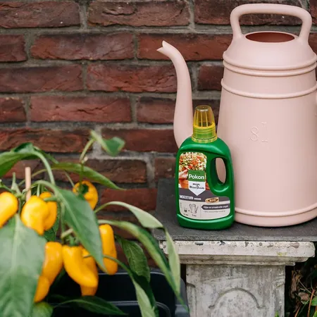 Pokon Bio Moestuin Voeding - 500ml - afbeelding 4
