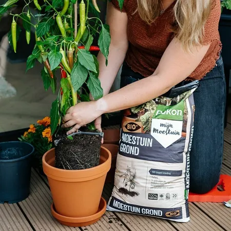 Pokon Bio Moestuingrond Turfvrij - 40L - afbeelding 5