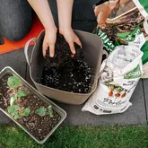 Pokon Bio Perliet - 6L - afbeelding 3