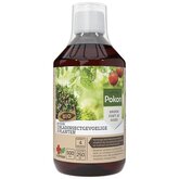 Pokon Bio Plantkuur Bladinsecten 500ml - afbeelding 1