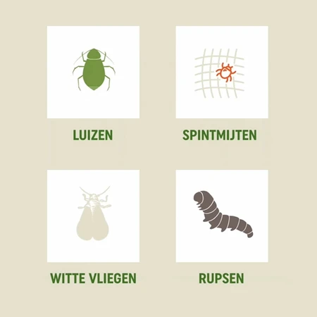 Pokon Bio Tegen Hardnekkige Insecten Polysect Concentraat - 175ml - afbeelding 4