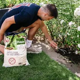 Pokon Bio Tegen Insecten en Kevers Compost - 20L - afbeelding 3
