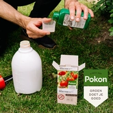 Pokon Bio Tegen Insecten Polysect GYO Concentraat - 225ml - afbeelding 4