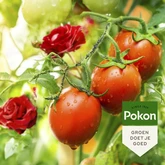 Pokon Bio Tegen Insecten Polysect GYO Spray - 800ml - afbeelding 3