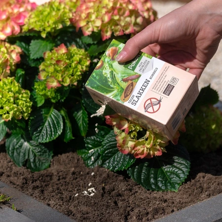 Pokon Bio Tegen Slakken Korrels 450gr - afbeelding 4
