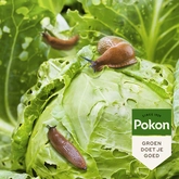 Pokon Bio Tegen Slakken Korrels 450gr - afbeelding 5
