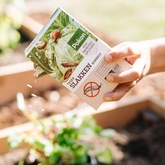 Pokon Bio Tegen Slakken Korrels 450gr - afbeelding 7