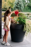 Pokon Bio Terras & Balkon Planten Voeding 500ml  - afbeelding 5