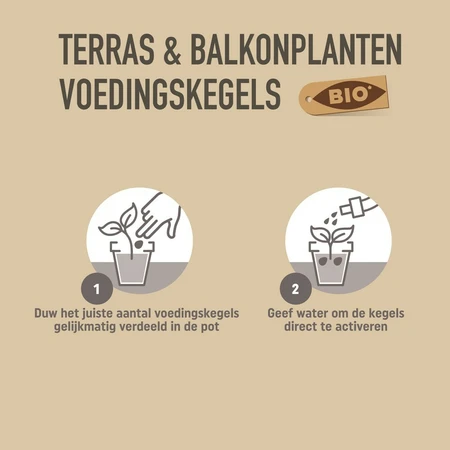 Pokon Bio Terras & Balkon Planten Voedingskegels - 15 stuks - afbeelding 3