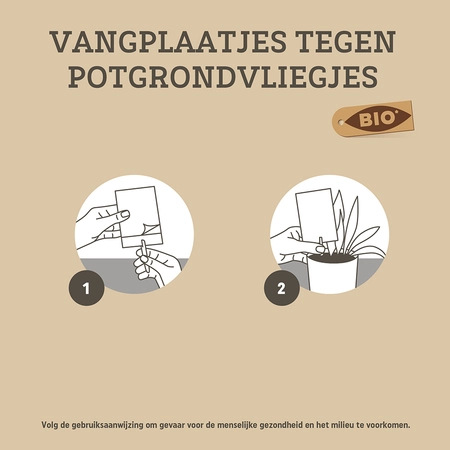 Pokon Bio Vangplaatjes tegen Potgrondvliegjes - 15 stuks - afbeelding 3
