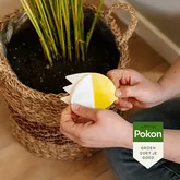 Pokon Bio Vangplaatjes tegen Potgrondvliegjes - 15 stuks - afbeelding 5