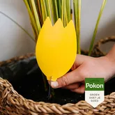 Pokon Bio Vangplaatjes tegen Potgrondvliegjes - 15 stuks - afbeelding 6