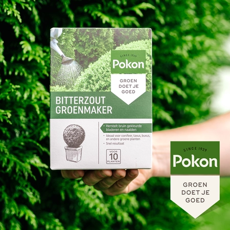 Pokon Bitterzout Groenmaker - 500g - afbeelding 4