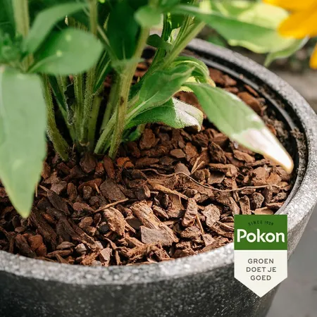 Pokon Boomschors Excellent - 40L - afbeelding 4
