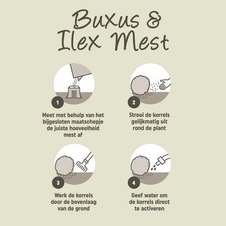 Pokon Buxus & Ilex Mest - 2,5kg - afbeelding 3